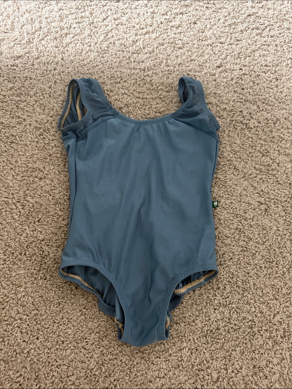 Lucky Leo dancewear leotard